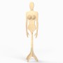 Wooden Female Body Form on Stand Oval Head