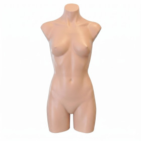 Female Plastic Torso Skin