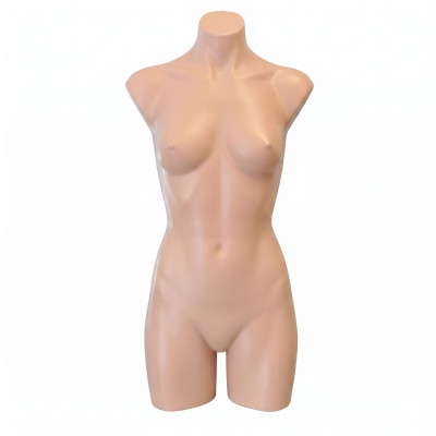Female Plastic Torso Skin