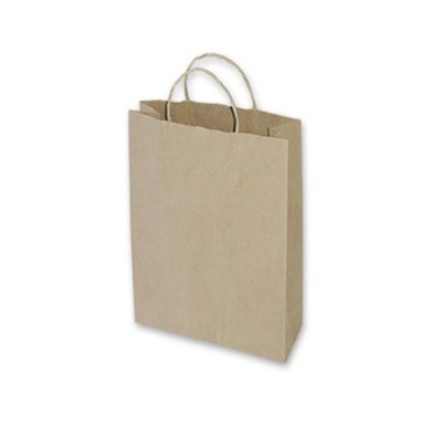 Small Brown Paper Bag 260x95x350 (pack 100)