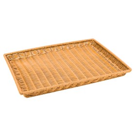 Polywicker Tray with lip